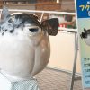 唐戸市場のフクマネキン(福招金)